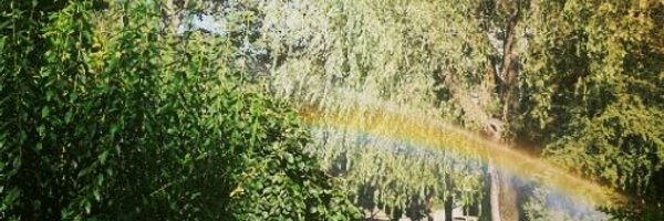 ire_msc Profile Banner