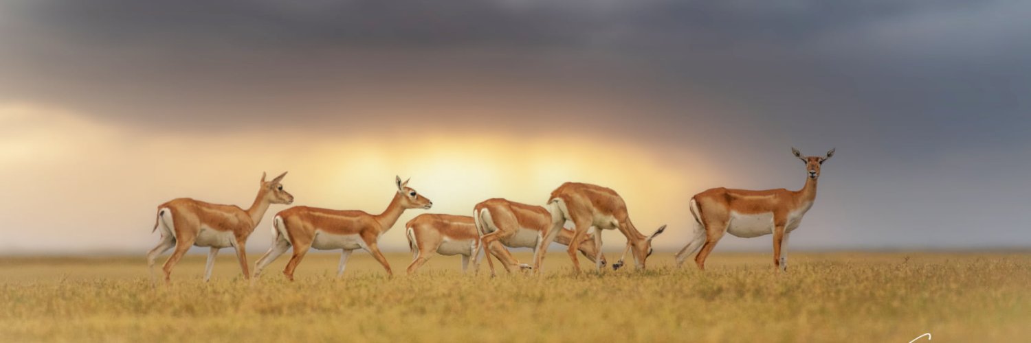 RKVallapudasu's profile banner image