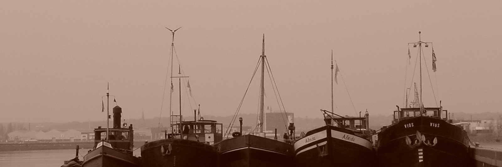 Schepencarrouse's profile banner image
