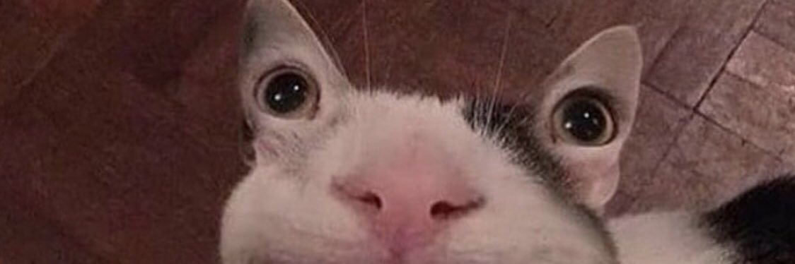 CatlosV_'s profile banner image