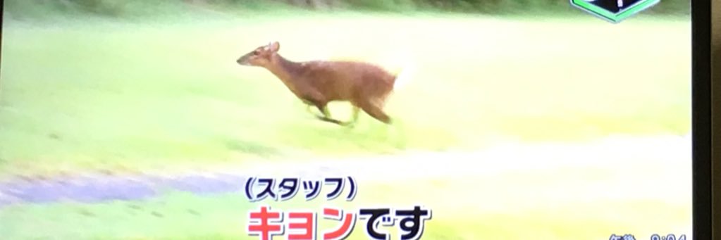 BSKLKKK's profile banner image