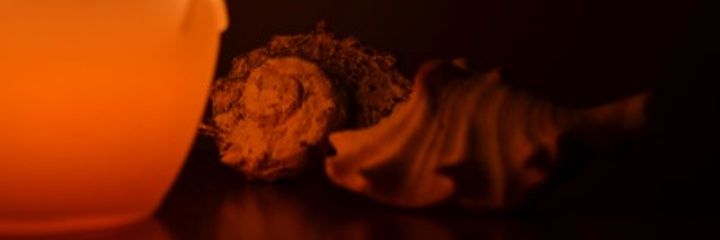 pikaserki's profile banner image