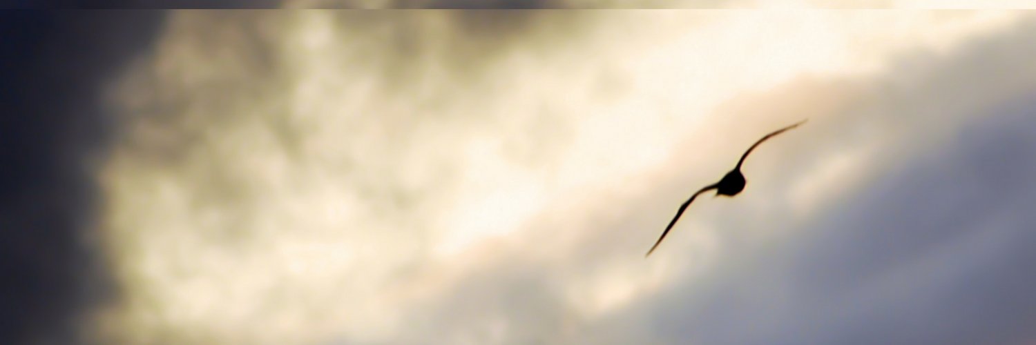 Andrea Bartino banner