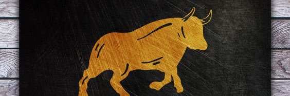 sdimpexp's profile banner image