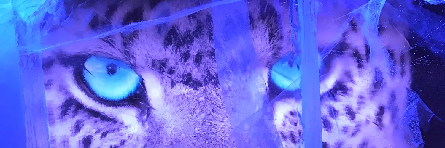 katefrancesx's profile banner image
