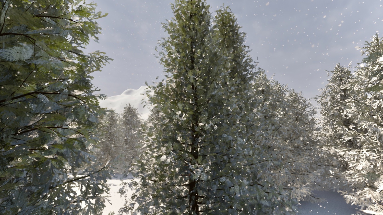 shaleemanjum's profile banner image