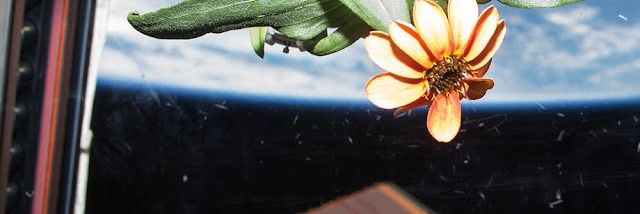 jfpaula01's profile banner image