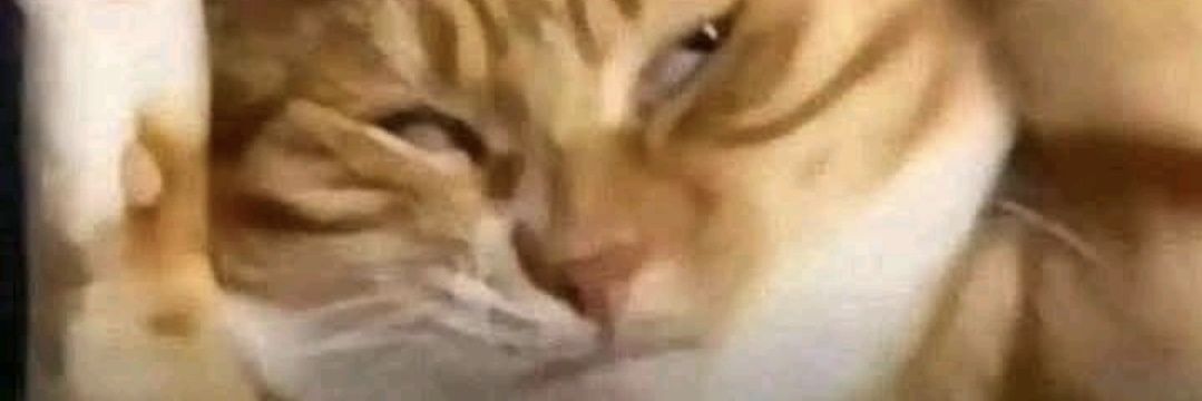 mggyby's profile banner image