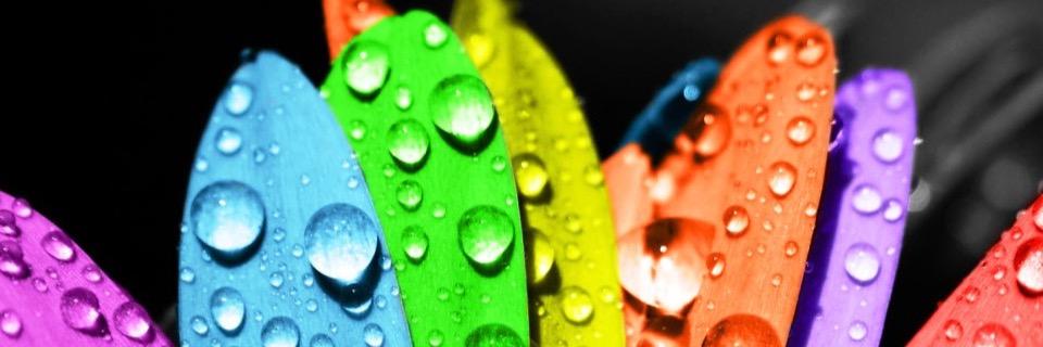 k9847k's profile banner image