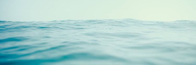 pepaisme's profile banner image