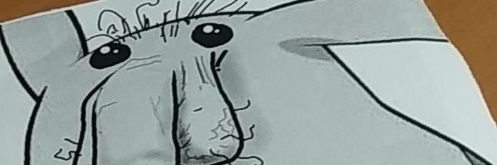 robvd99's profile banner image