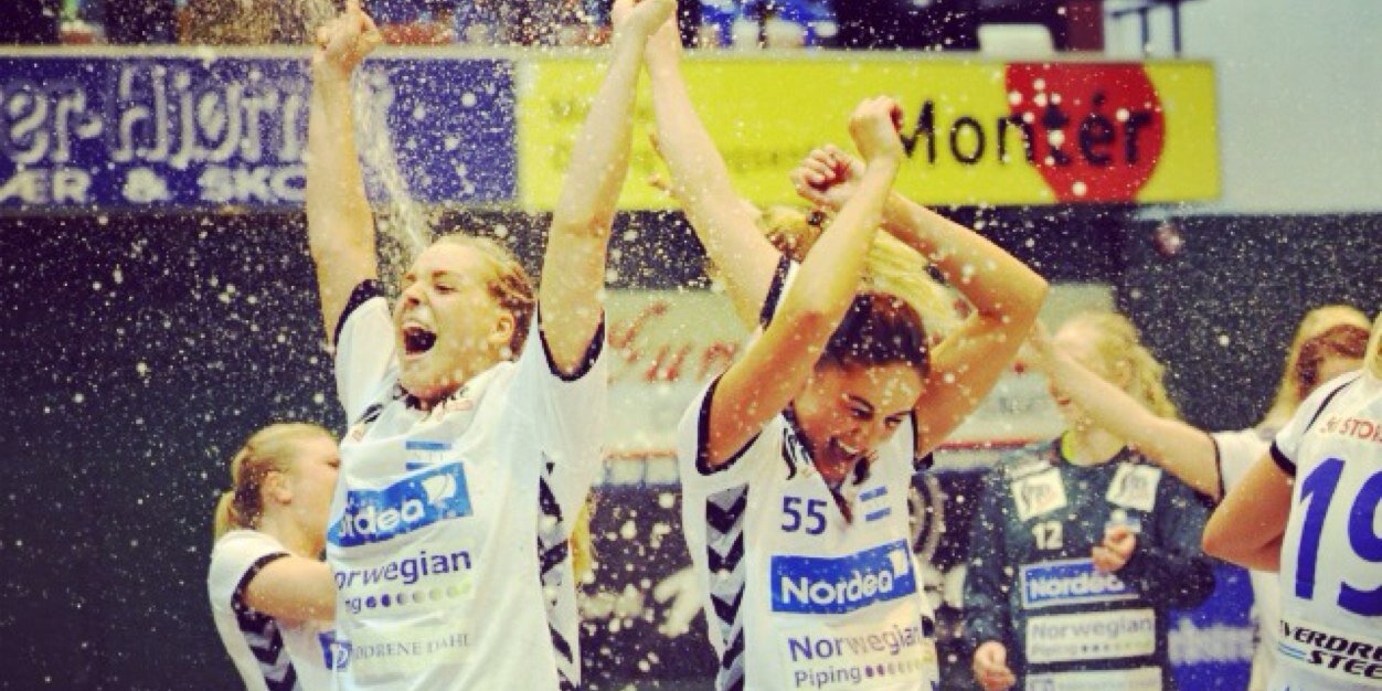Nerma banner