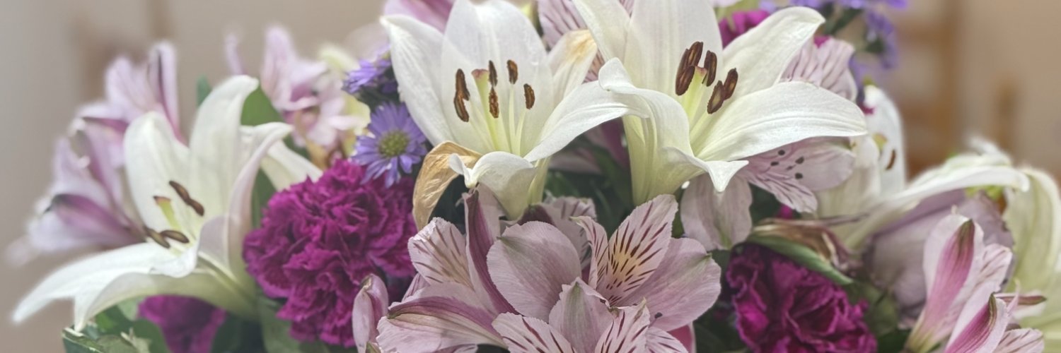 Maria Morera Johnson banner