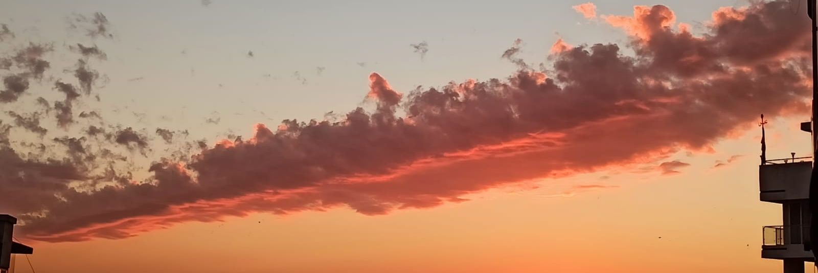 KSAbby's profile banner image