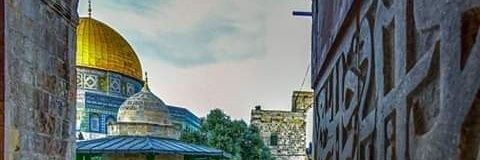 HazemAltatar's profile banner image