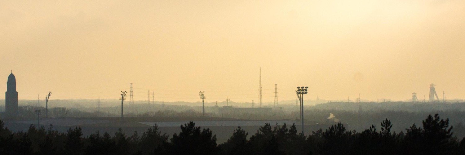 Lobke Stans banner