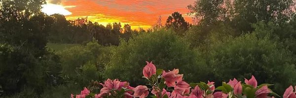 lainynewyork Profile Banner