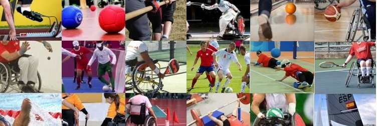 FESA C. Valenciana banner