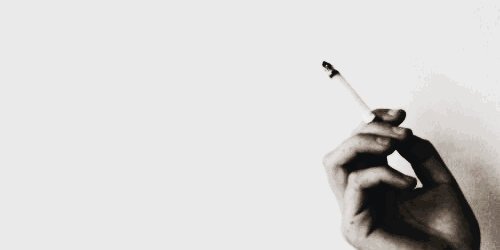kiarahmars's profile banner image