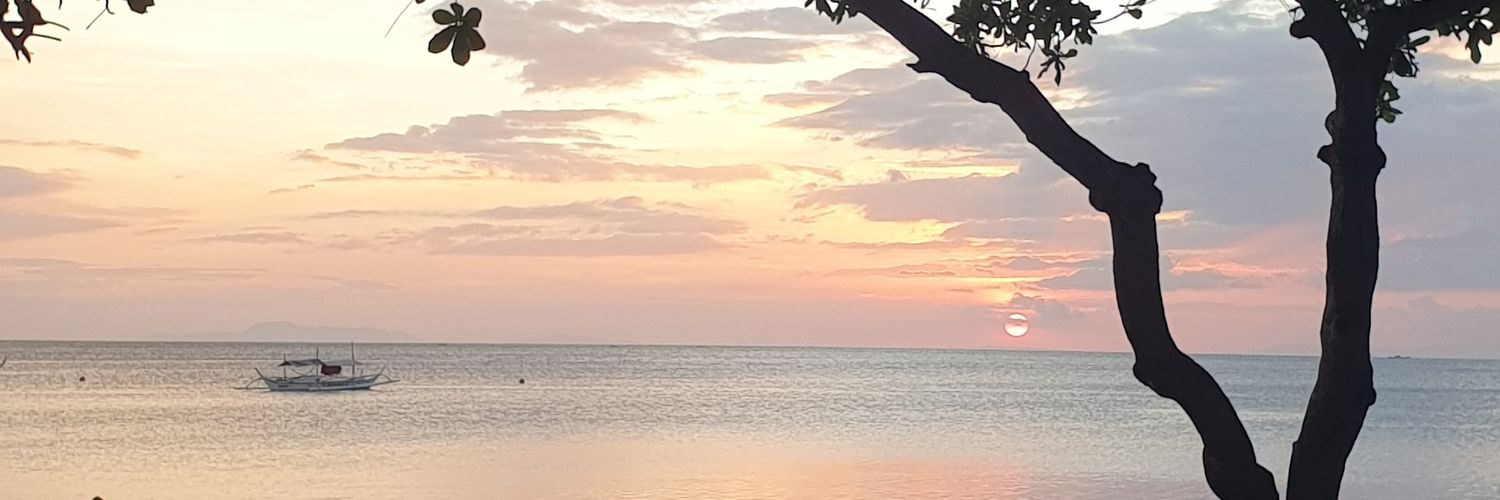 aptanyag's profile banner image