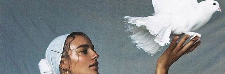 _no0oty's profile banner image
