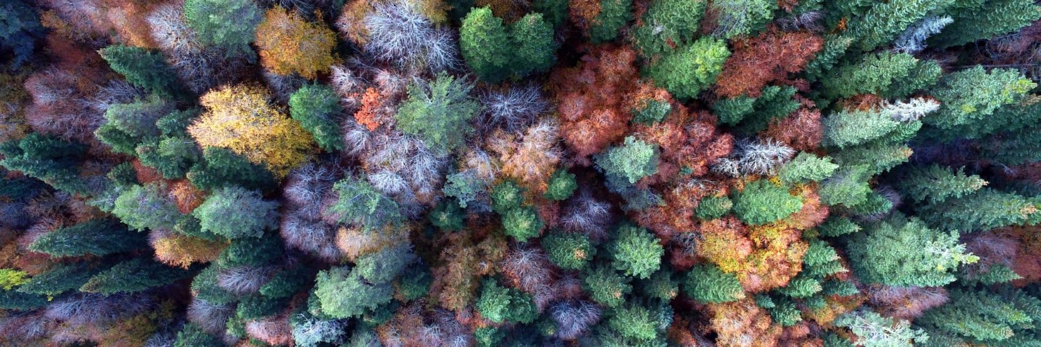 Adrian Stannard banner