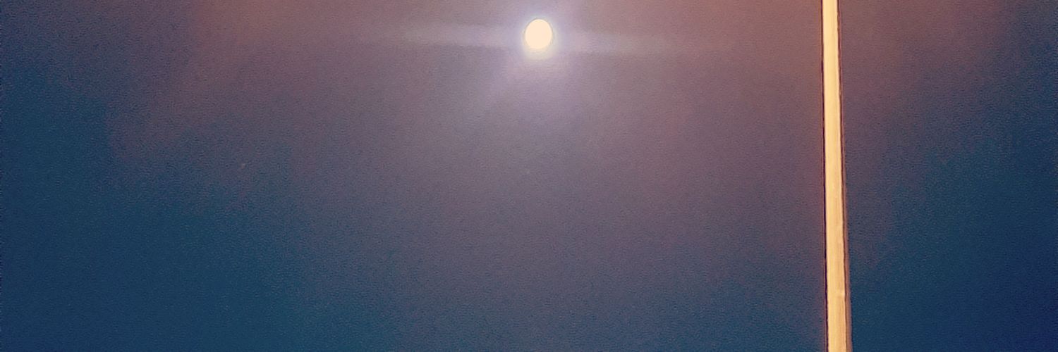 ncihatayanoglu's profile banner image