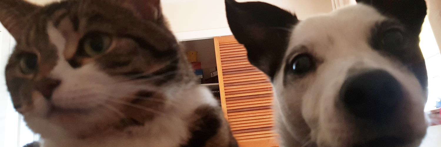 chloballs223's profile banner image