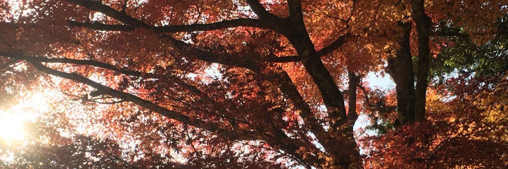 itsu_kichi's profile banner image