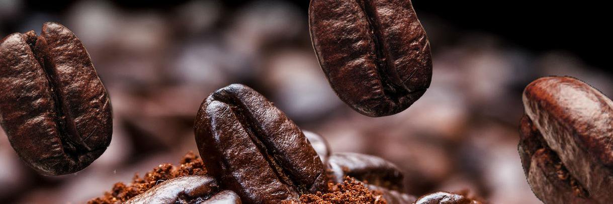 fernscoffee's profile banner image