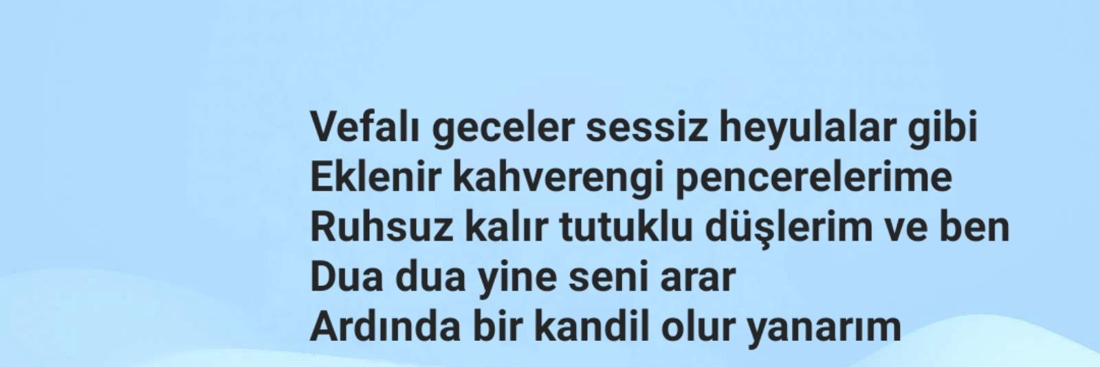 alidemirel_'s profile banner image