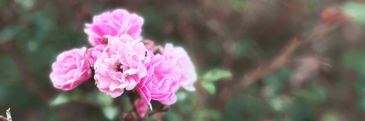 _PuffyFluffy's profile banner image