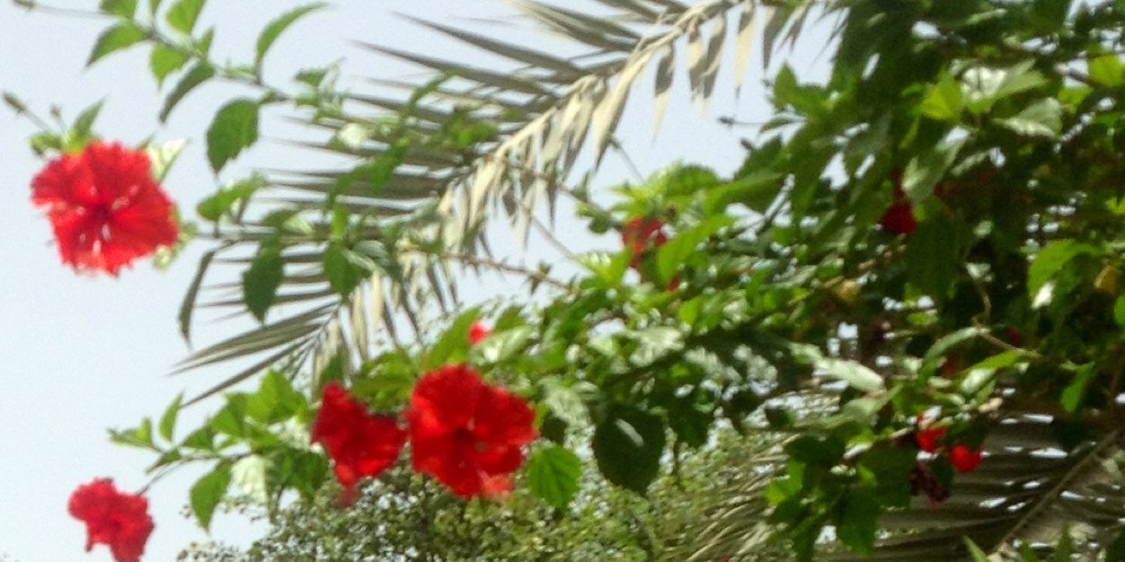 hooba_2000's profile banner image
