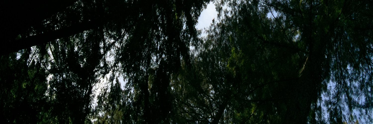 michaelmarus's profile banner image