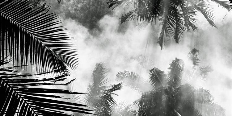 _Kapowsky's profile banner image