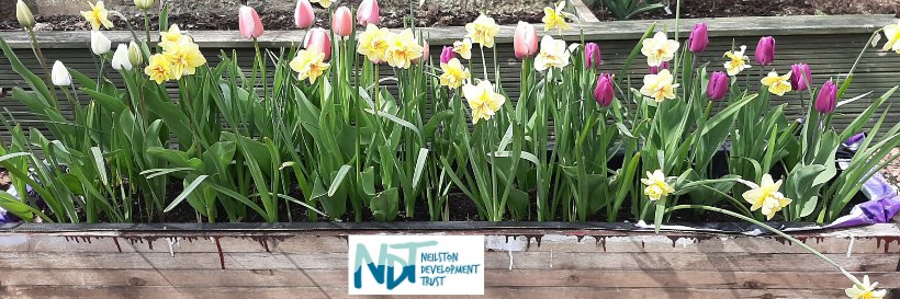 NeilstonTrust's profile banner image