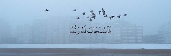 AMR0_ALI's profile banner image