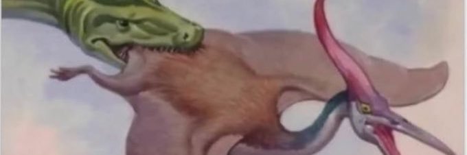 smprsn's profile banner image