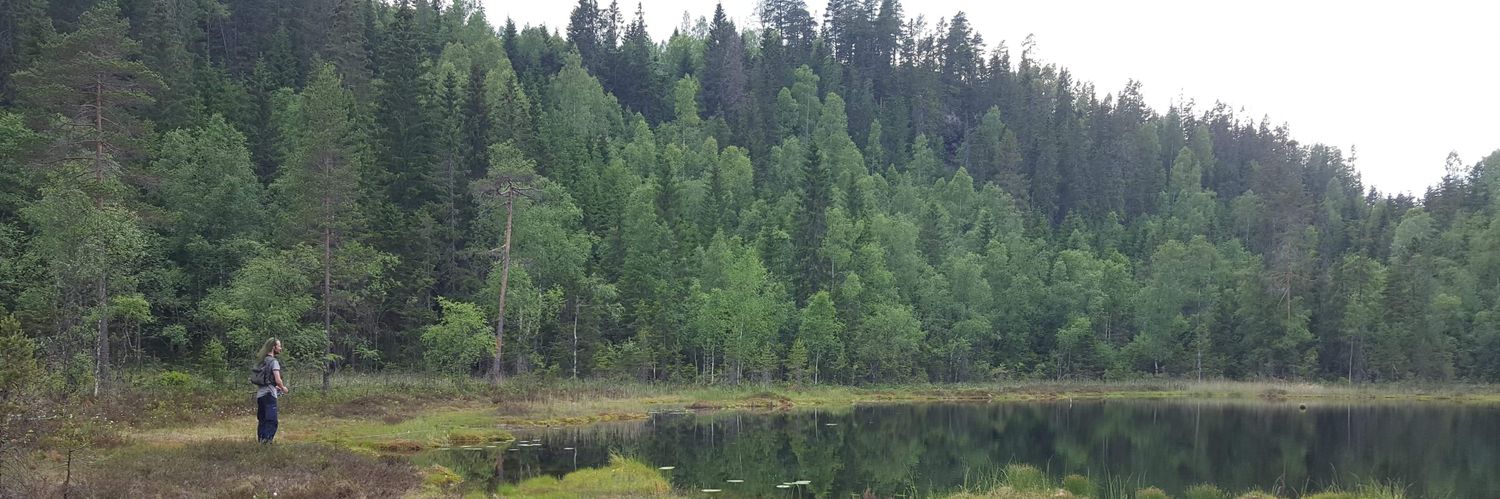 Daniel Straume banner