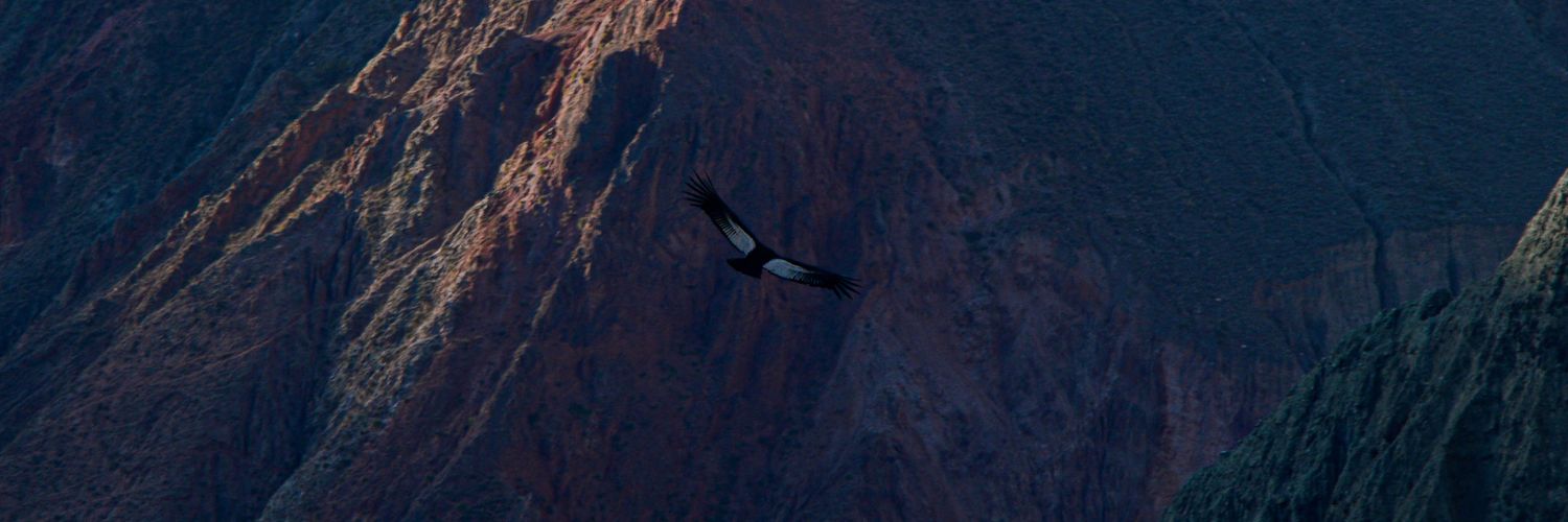 Agusberlasso's profile banner image