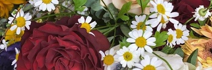 sarasarso's profile banner image