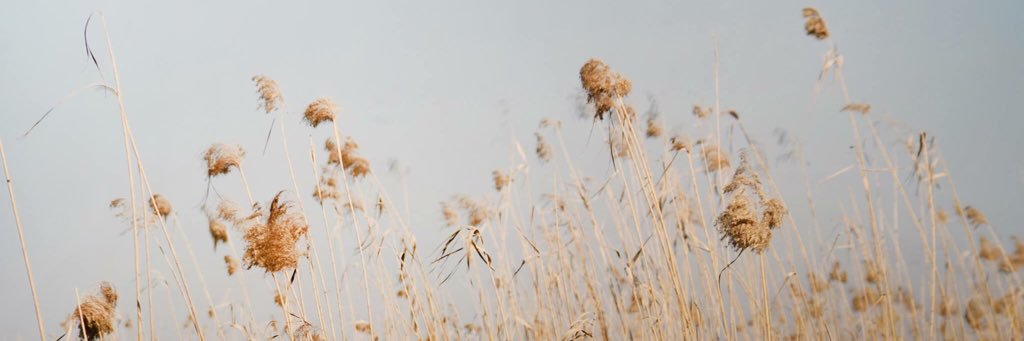 MariaNasrallah's profile banner image