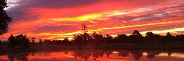 Chase T. Walden banner