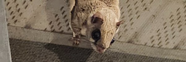 BrianPardy Profile Banner