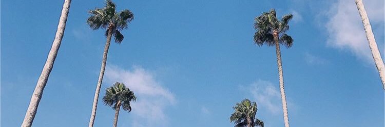 ___oto63's profile banner image
