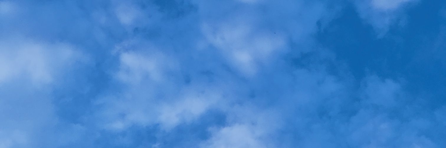 vittdsha's profile banner image