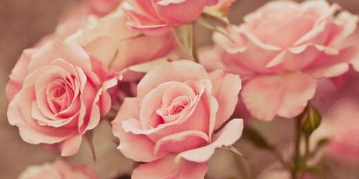 nisisma's profile banner image