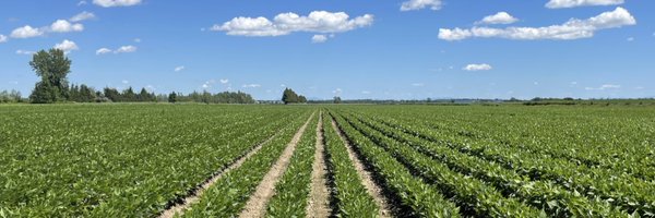 May0ro Profile Banner