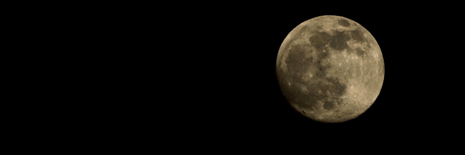 raphaël terris banner