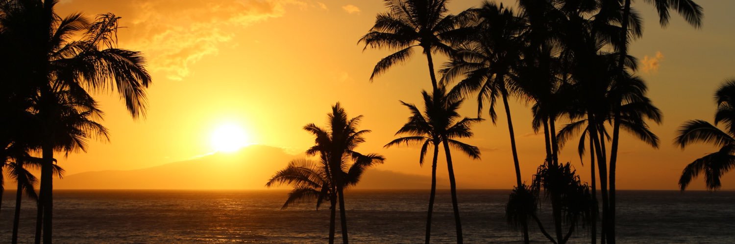 ChiTownNetLease's profile banner image